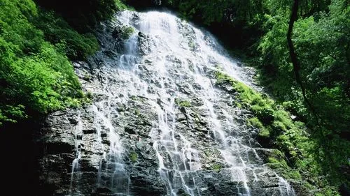 电子绿色独特